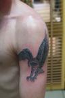 Toutes nos ralisations sur les tattoos rapaces