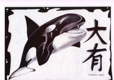 Modles - sirnes poissons divers - Photo6