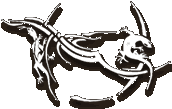 Tattoo Evolution : Le site