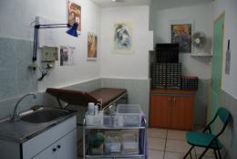 Salle de piercing . Tattoo Evolution Perpignan  ( PYRENNEES ORIENTALES ) dans le LANGUEDOC ROUSSILLON.