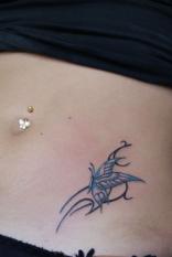 Coup de coeur 1 - Mod�le tattoo . Jolie petit papillon TATTOO EVOLUTION (perpignan)