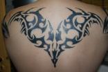 Coup de coeur 2 - Mod�le tattoo . maori dos TATTOO EVOLUTION (perpignan)