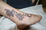 Coup de coeur 3 - Mod�le tattoo . fleurs pied TATTOO EVOLUTION (perpignan)
