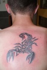 Coup de coeur 4 - Mod�le tattoo . scorpion TATTOO EVOLUTION (perpignan)