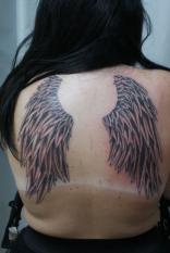 Coup de coeur 1 . Boutique Tattoo Tattoo Evolution Perpignan - Mod�le tattoo .Ailes dans le dos TATTOO EVOLUTION (perpignan)