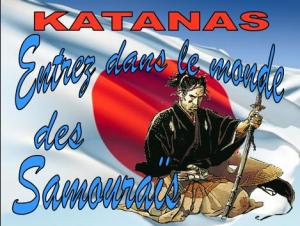 Katanas. Boutique Tattoo Evolution Perpignan - 